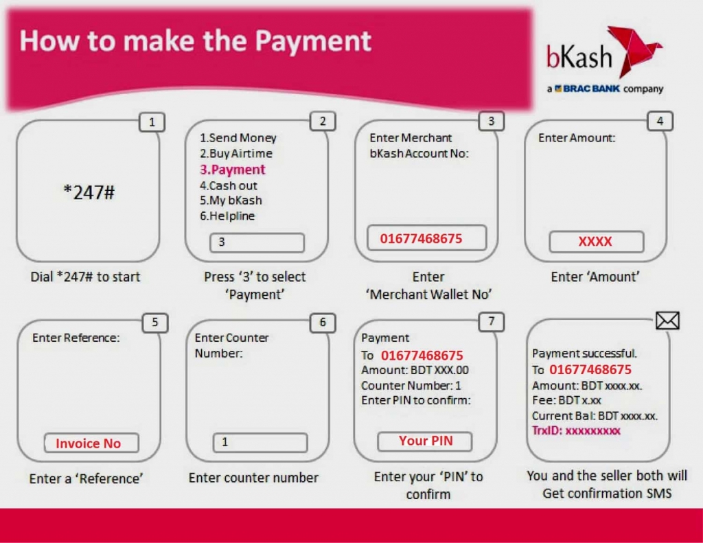 Domain and Hosting payment information Dhaka  Host